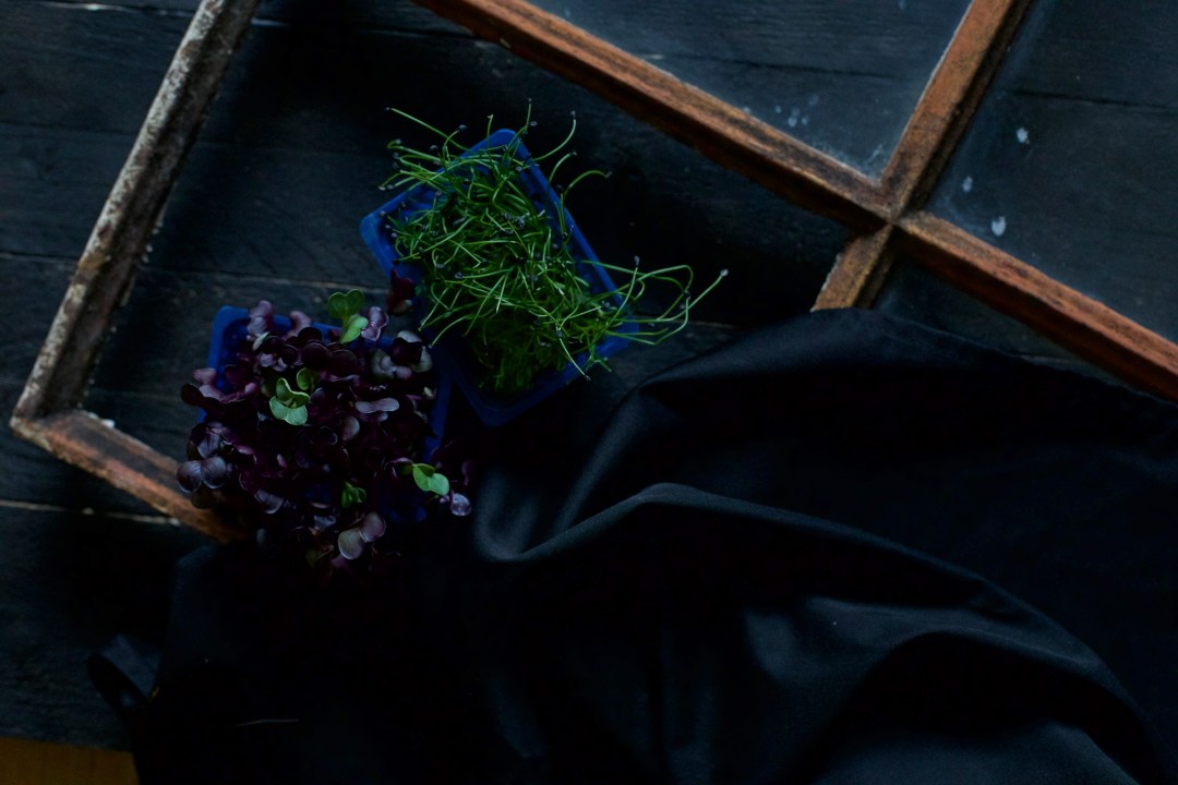 Kresse von Coppert Cress aus Holland