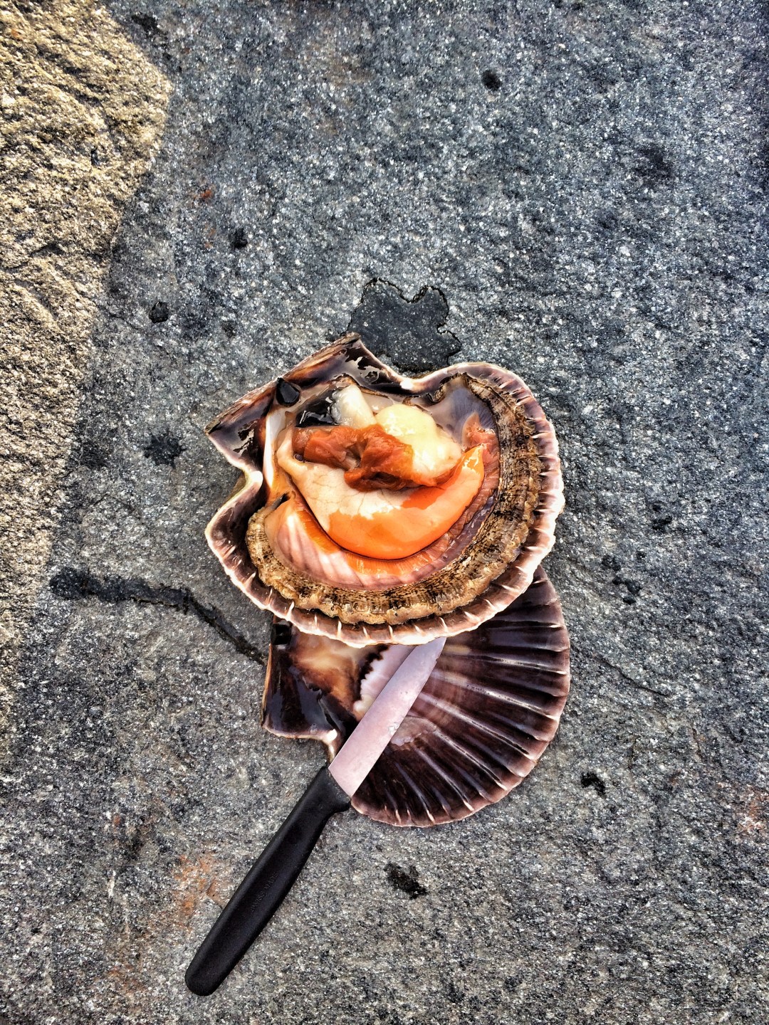 Cornelius Seafood